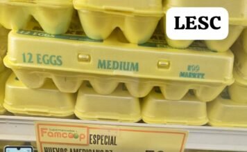 Plátanos y huevos en crisis por falta de fiscalización de importaciones