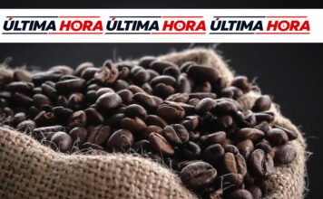 Inminente aumento de más 20 % en el precio del café tras orden de DACO